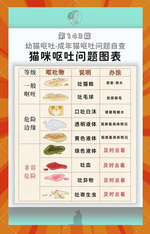铲屎官须知：猫咪胃酸过多呕吐怎么办 猫咪胃酸呕吐如何处理