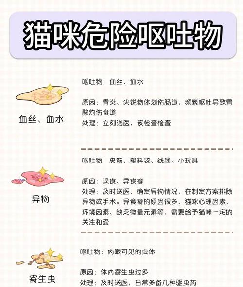 铲屎官须知：猫咪胃酸过多呕吐怎么办 猫咪胃酸呕吐如何处理