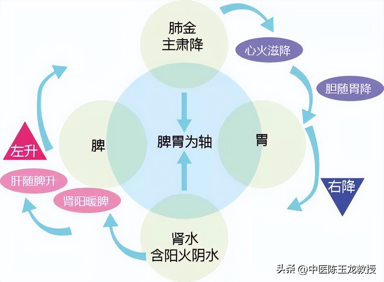 说一个治胃病奇方，两味药 疏肝和胃，反酸 呕吐 腹胀 腹泻 一扫光