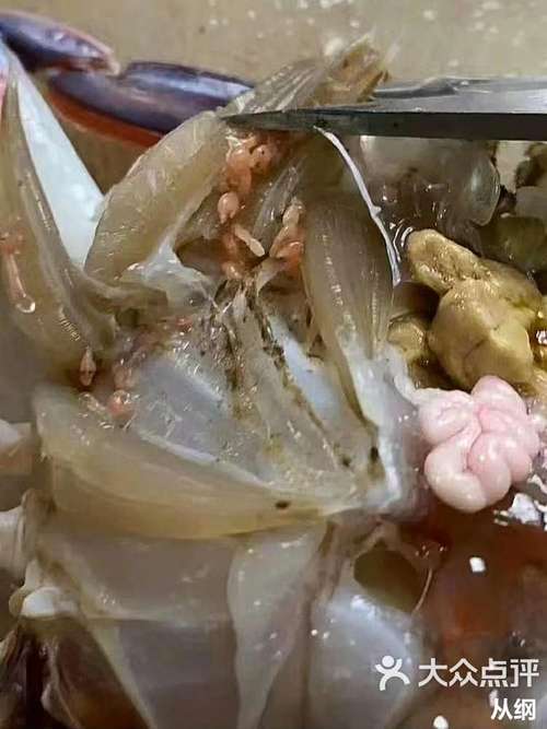 梭子蟹里密布“寄生虫”经检验竟是世界上最昂贵的海鲜