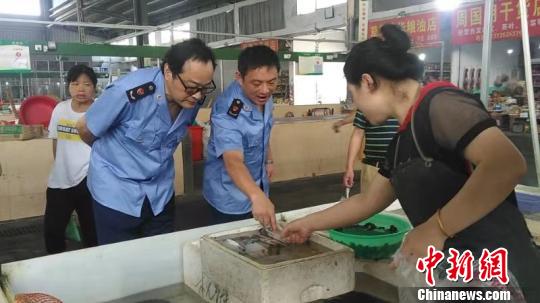 梭子蟹里密布“寄生虫”经检验竟是世界上最昂贵的海鲜