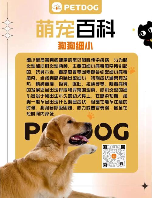 小狗得细小有什么症状？小狗得细小前期怎么治疗？
