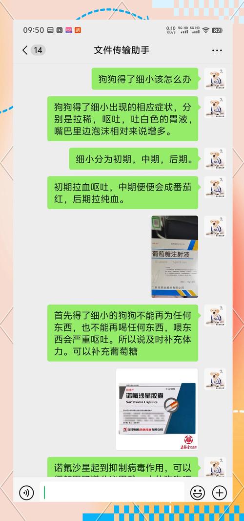 小狗得细小有什么症状？小狗得细小前期怎么治疗？