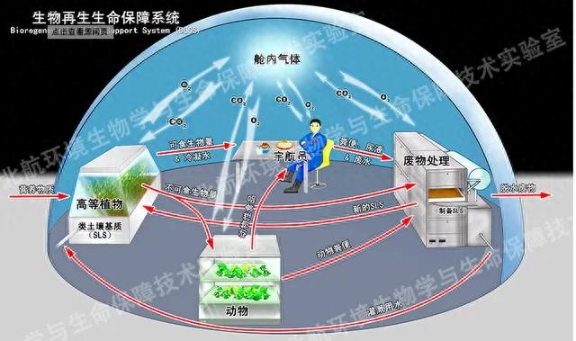 太空生存大揭秘：你吸的每一口氧气，可能来自宇航员的洗澡水？！