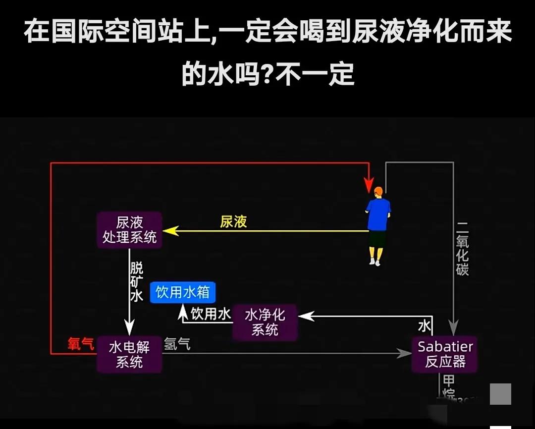 太空生存大揭秘：你吸的每一口氧气，可能来自宇航员的洗澡水？！