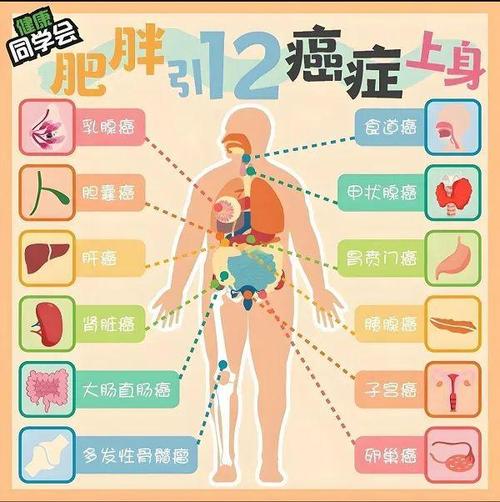 超体重人群患癌风险增加1.12倍！专家呼吁：科学防癌从体重管理开始