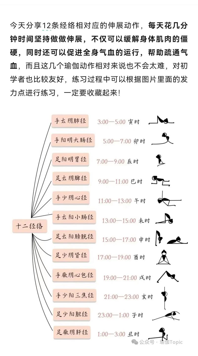 你知道什么叫做312经络锻炼法