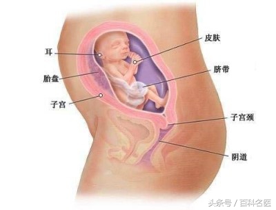 孕期生病了是忍着还是吃药缓解？孕妇不必“谈药色变”！