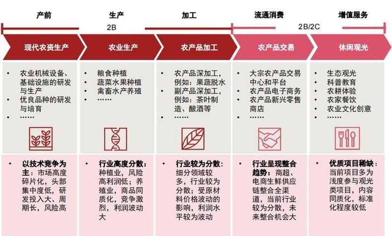 构建现代农业运营体系的关键环节，促进农业发展新动力何在？
