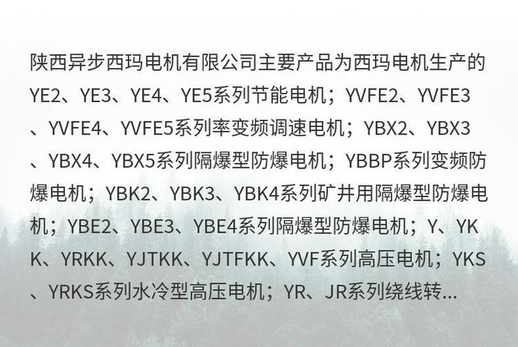 西安西玛电机售价受多因素影响，功率如何决定价格？