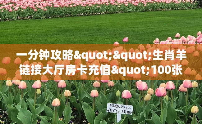 一分钟攻略""生肖羊链接大厅房卡充值"100张多少钱"充值教程