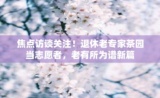 焦点访谈关注！退休老专家茶园当志愿者，老有所为谱新篇