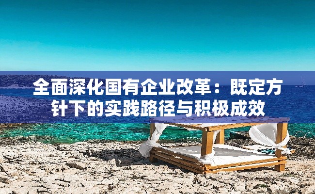 全面深化国有企业改革：既定方针下的实践路径与积极成效