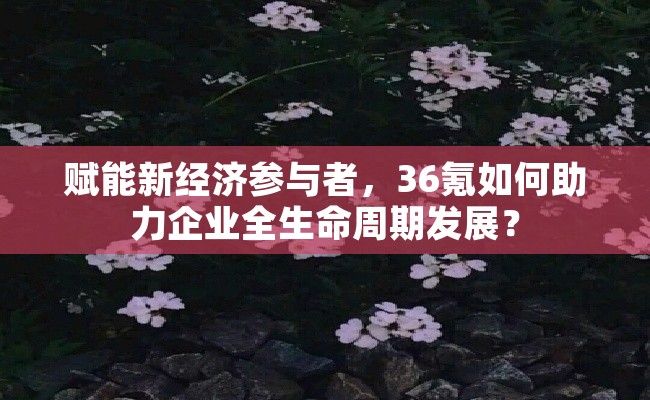 赋能新经济参与者，36氪如何助力企业全生命周期发展？
