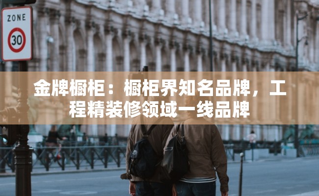 金牌橱柜：橱柜界知名品牌，工程精装修领域一线品牌