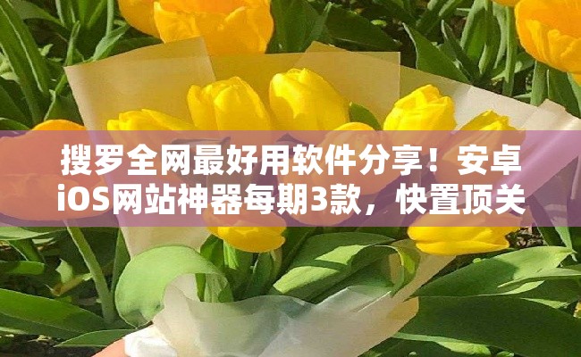 搜罗全网最好用软件分享！安卓iOS网站神器每期3款，快置顶关注