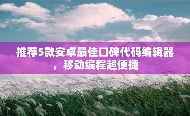 推荐5款安卓最佳口碑代码编辑器，移动编程超便捷