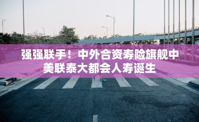 强强联手！中外合资寿险旗舰中美联泰大都会人寿诞生