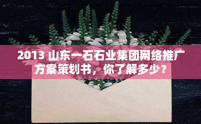 2013 山东一石石业集团网络推广方案策划书，你了解多少？