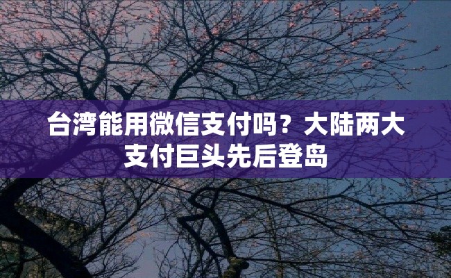 台湾能用微信支付吗？大陆两大支付巨头先后登岛