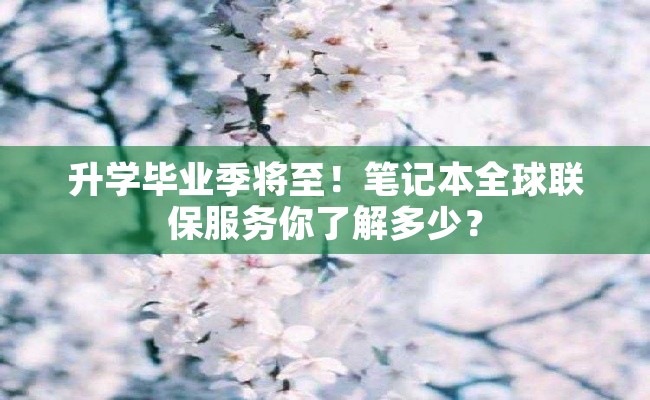 升学毕业季将至！笔记本全球联保服务你了解多少？
