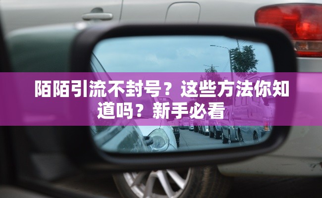 陌陌引流不封号？这些方法你知道吗？新手必看