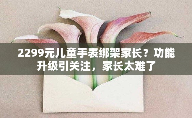 2299元儿童手表绑架家长？功能升级引关注，家长太难了