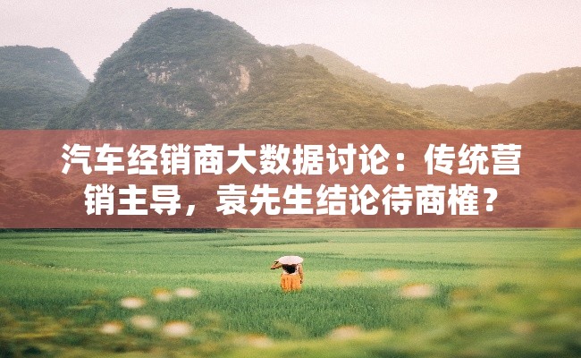 汽车经销商大数据讨论：传统营销主导，袁先生结论待商榷？