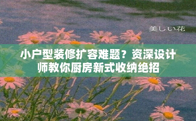 小户型装修扩容难题？资深设计师教你厨房新式收纳绝招