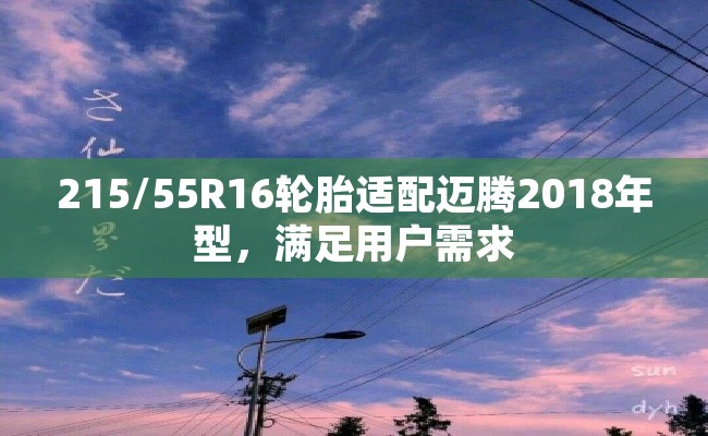 215/55R16轮胎适配迈腾2018年型，满足用户需求