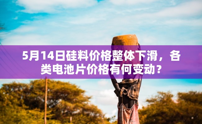 5月14日硅料价格整体下滑，各类电池片价格有何变动？