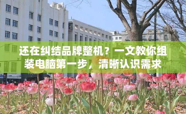 还在纠结品牌整机？一文教你组装电脑第一步，清晰认识需求