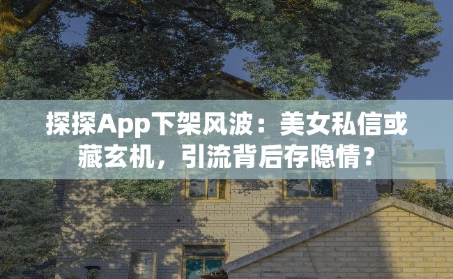 探探App下架风波：美女私信或藏玄机，引流背后存隐情？
