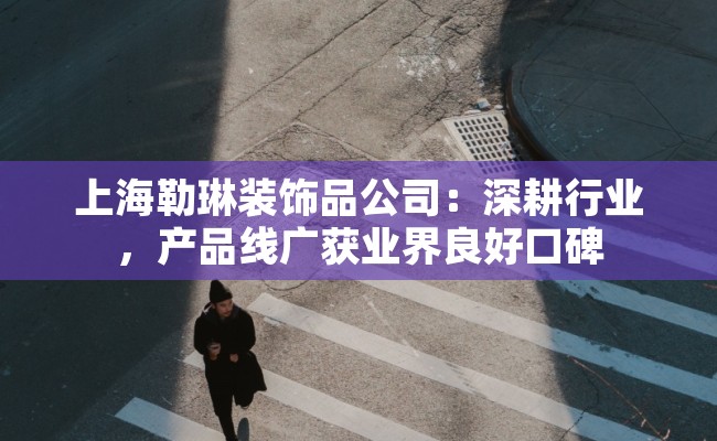 上海勒琳装饰品公司：深耕行业，产品线广获业界良好口碑