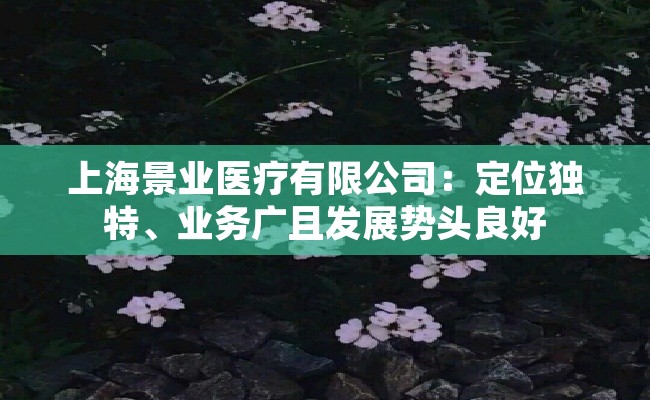 上海景业医疗有限公司：定位独特、业务广且发展势头良好