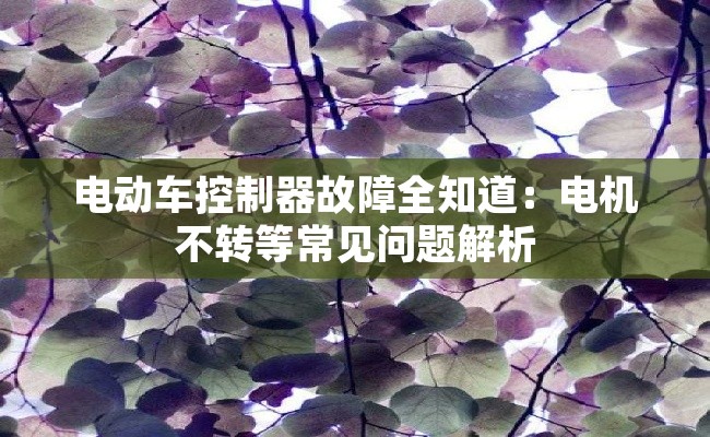 电动车控制器故障全知道：电机不转等常见问题解析