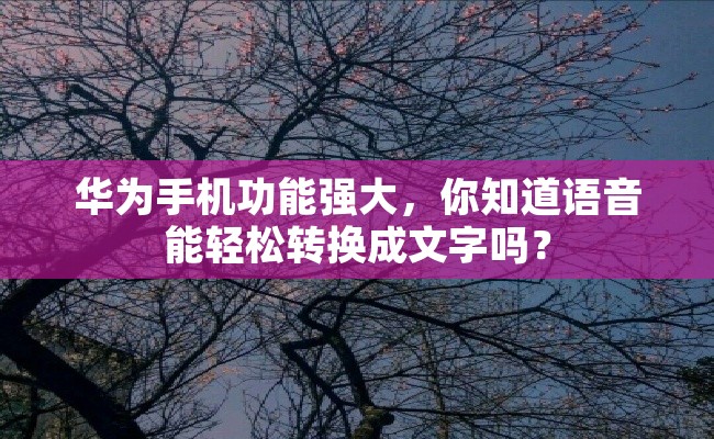 华为手机功能强大，你知道语音能轻松转换成文字吗？