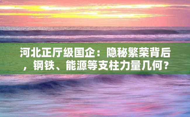 河北正厅级国企：隐秘繁荣背后，钢铁、能源等支柱力量几何？
