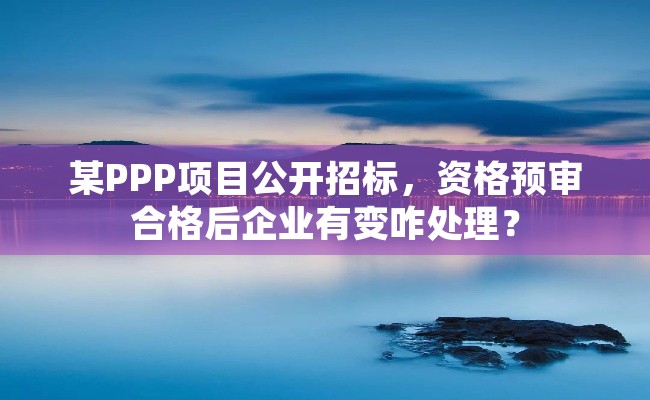 某PPP项目公开招标，资格预审合格后企业有变咋处理？