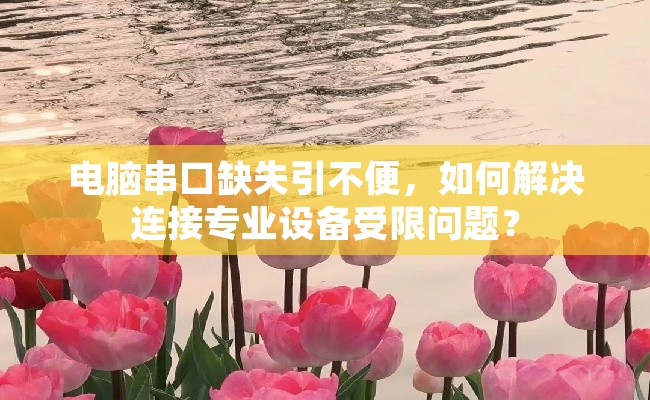 电脑串口缺失引不便，如何解决连接专业设备受限问题？