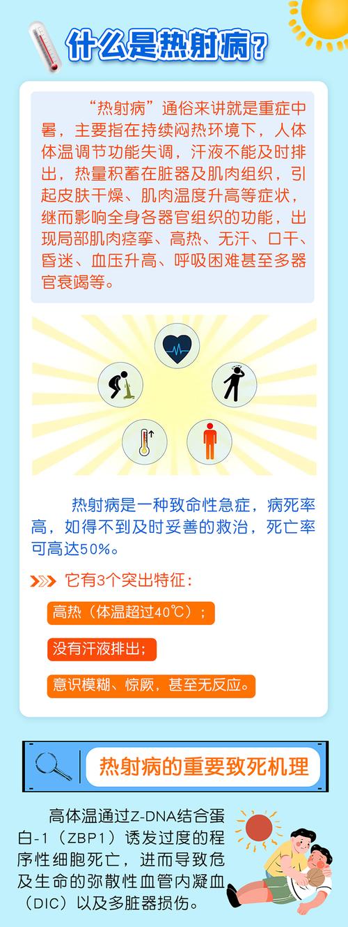 热射病不简单 紧急应对这样做