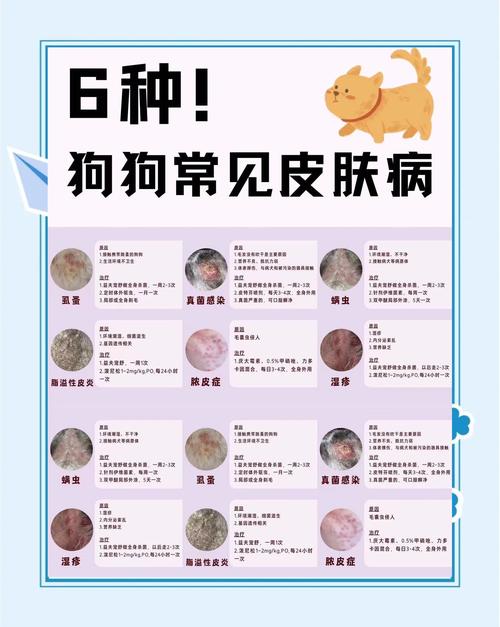 抠门闺蜜教的治狗皮肤病方法！绝绝子