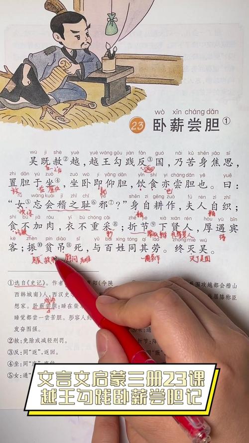 卧薪尝胆：勾践如何把吴国变成“黄雀”的美味大餐？