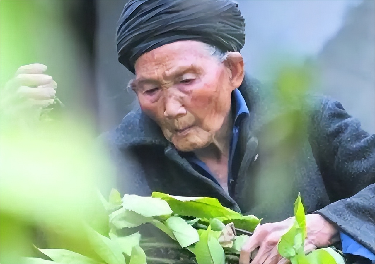 中国“长寿之王”龚来发：终身未娶活到133岁，生前爱好却不健康