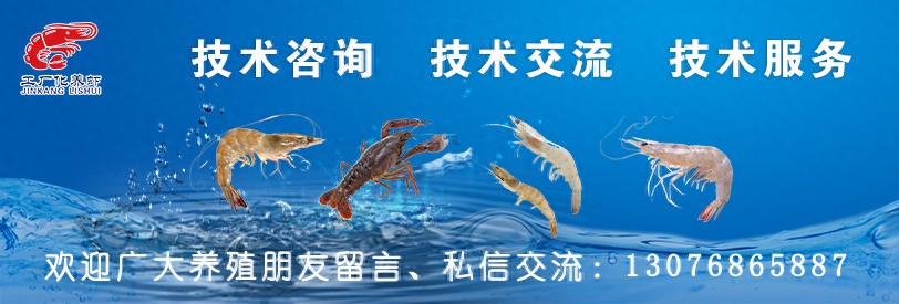 水产养殖人不可大意地“气泡病”