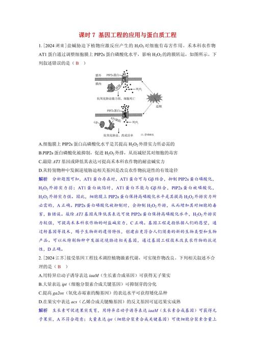 课时精练(五十一)　基因工程的基本操作程序和蛋白质工程